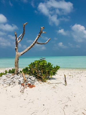 Lakshadweep