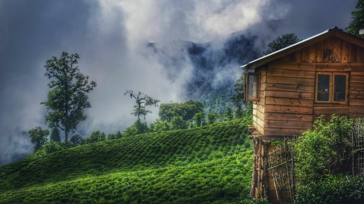 India Honeymoon Packages