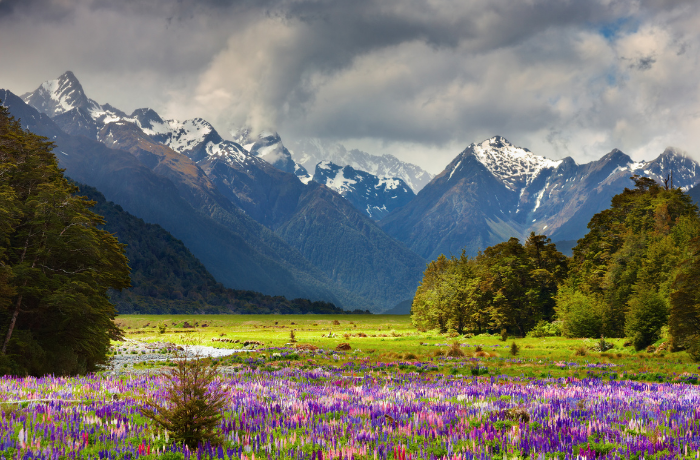 Nanda Devi & Valley of Flowers – A UNESCO World Heritage Site Where Earth Whispers in Colour and Silence