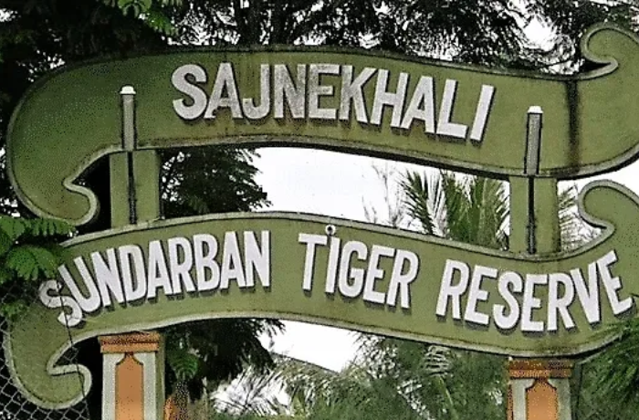 Sundarbans – Where Forests Float and Tigers Stalk the Tide