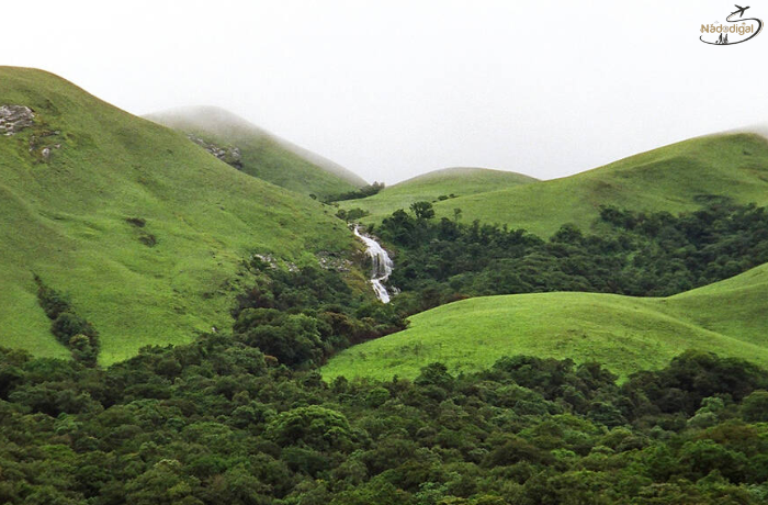 Western Ghats – Where Nature Screams “Bro Chill!” and Leeches Try to Kiss You