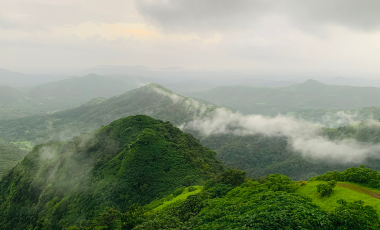 Western Ghats – Where Nature Screams “Bro Chill!” and Leeches Try to Kiss You