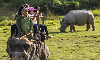Manas Wildlife Sanctuary – Where Nature Speaks in Whisper and Roar