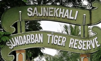 Sundarbans – Where Forests Float and Tigers Stalk the Tide