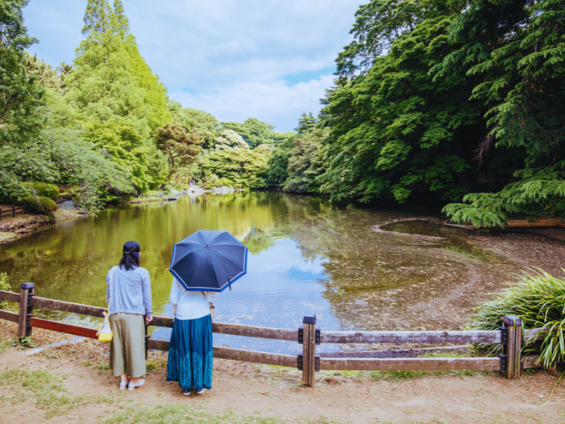 Japan 1