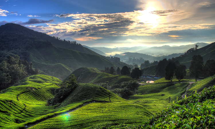 Malaysia 2