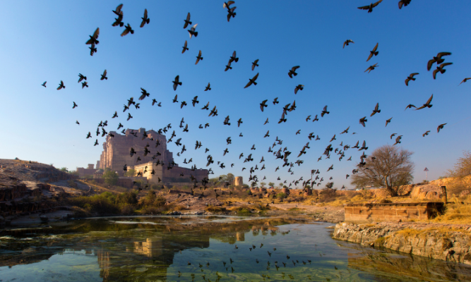 Rajasthan Tour Packages