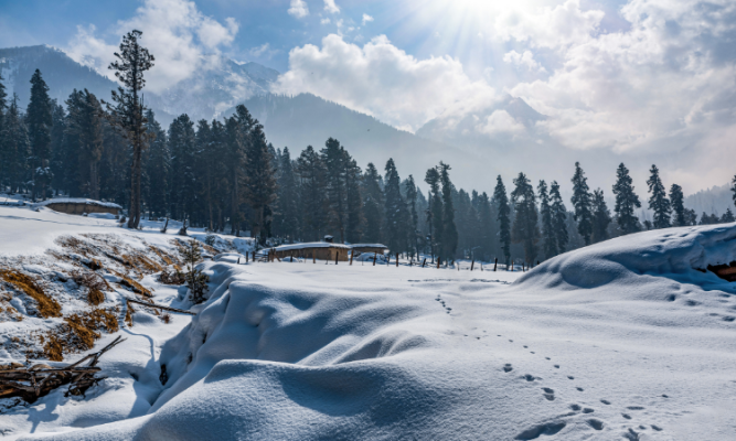 Kashmir Tour Packages 
